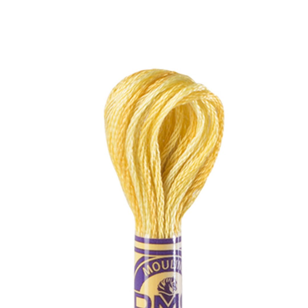 DMC Mouliné Variations Embroidery Thread (4075)