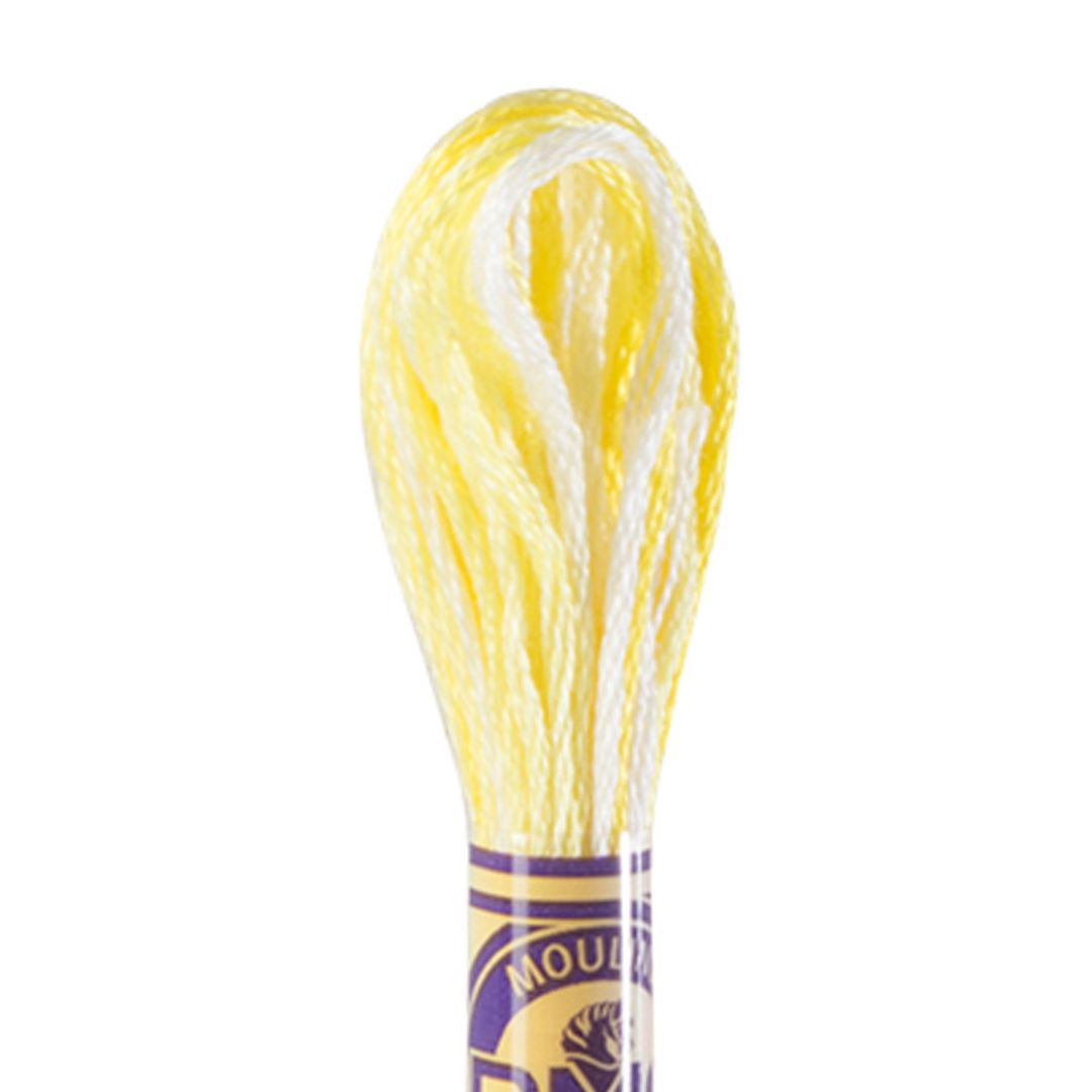 DMC Mouliné Variations Embroidery Thread (4077)