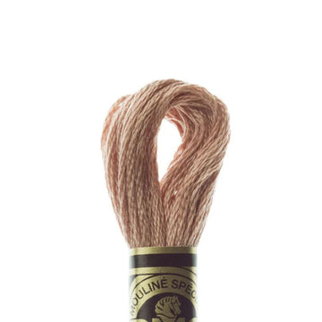 DMC Stranded Cotton Mouliné Spécial Embroidery Thread (407)