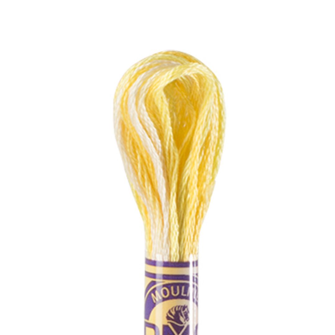 DMC Mouliné Variations Embroidery Thread (4080)