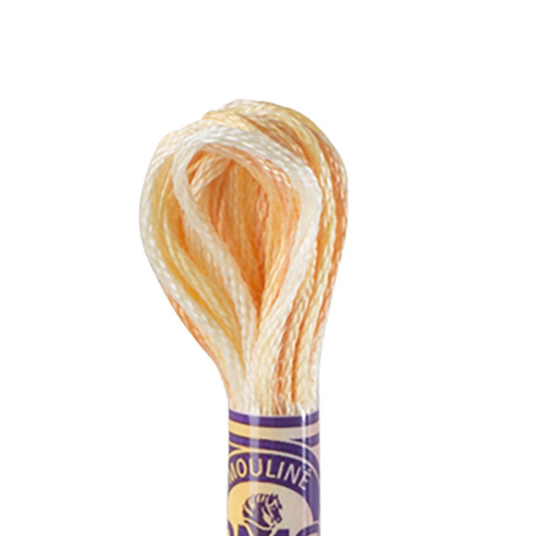 DMC Mouliné Variations Embroidery Thread (4090)