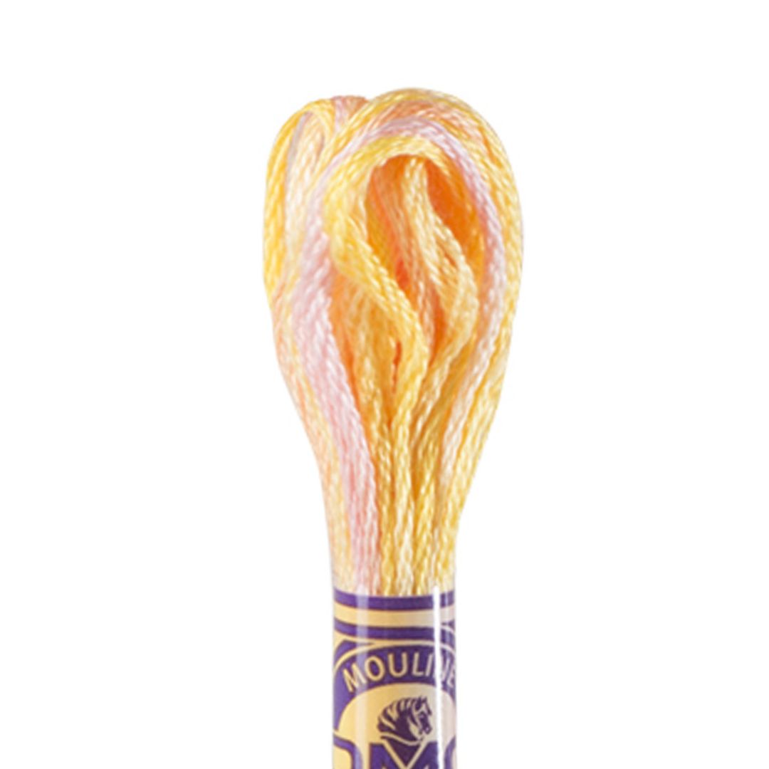 DMC Mouliné Variations Embroidery Thread (4100)