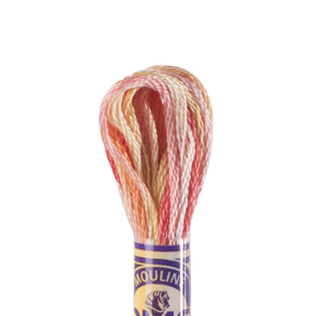 DMC Mouliné Variations Embroidery Thread (4120)