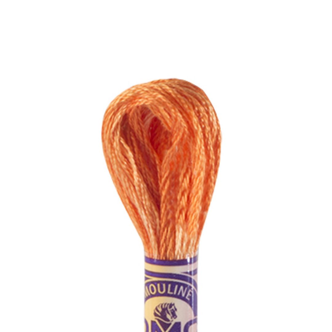 DMC Mouliné Variations Embroidery Thread (4124)