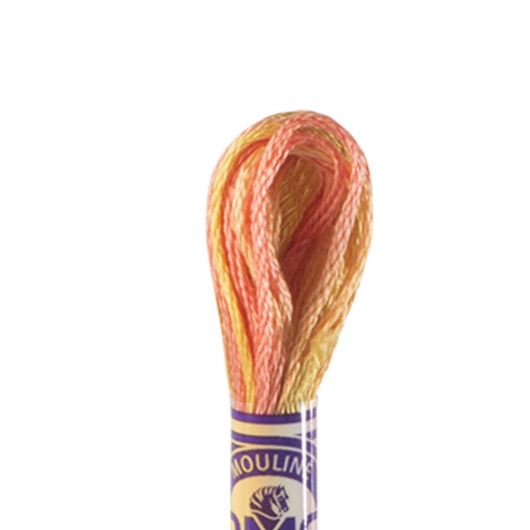 DMC Mouliné Variations Embroidery Thread (4126)