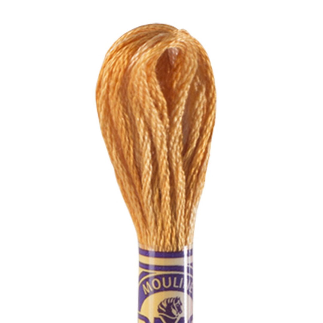 DMC Mouliné Variations Embroidery Thread (4128)