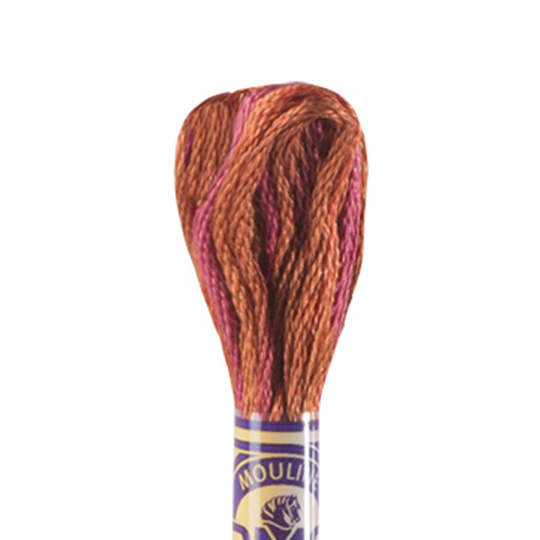DMC Mouliné Variations Embroidery Thread (4130)