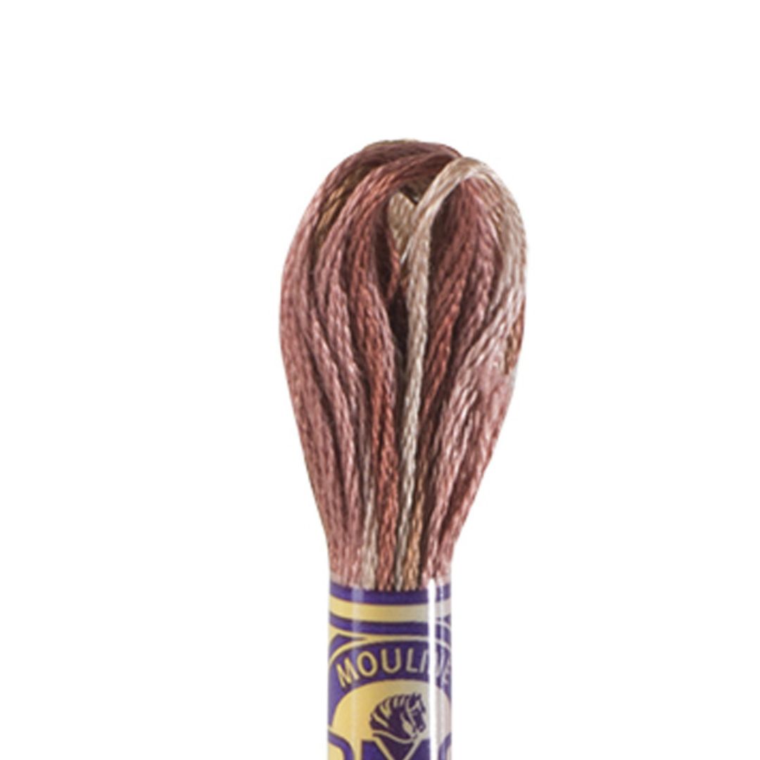 DMC Mouliné Variations Embroidery Thread (4140)
