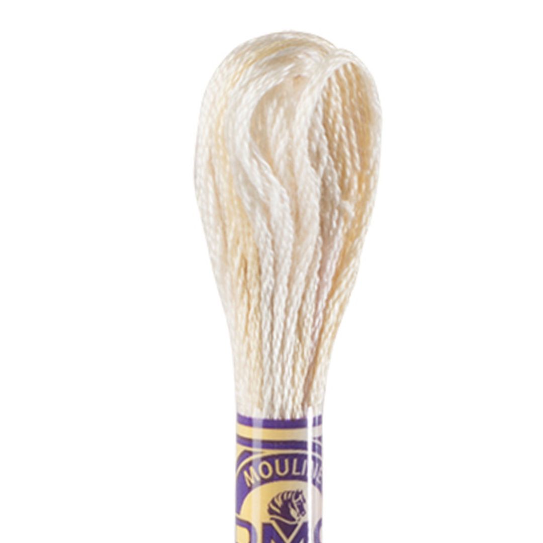 DMC Mouliné Variations Embroidery Thread (4150)