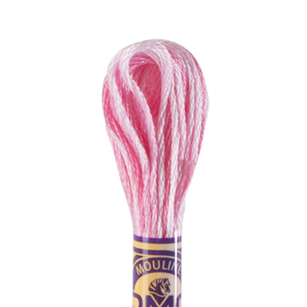 DMC Mouliné Variations Embroidery Thread (4180)