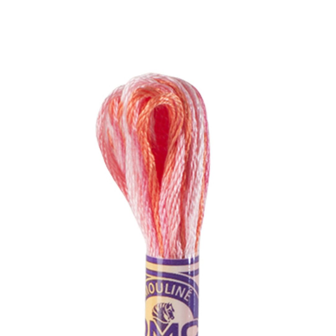 DMC Mouliné Variations Embroidery Thread (4190)