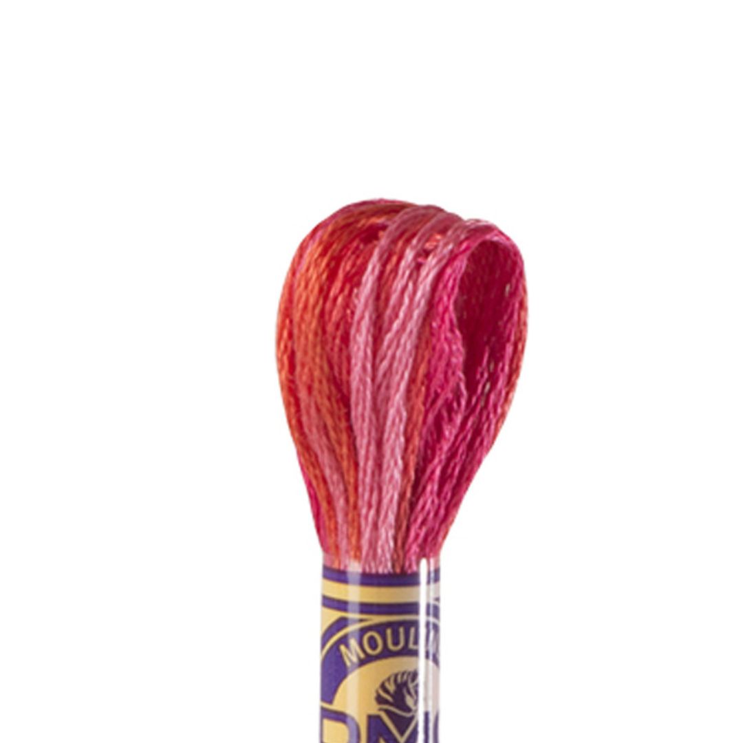 DMC Mouliné Variations Embroidery Thread (4200)