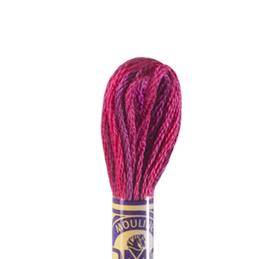 DMC Mouliné Variations Embroidery Thread (4210)