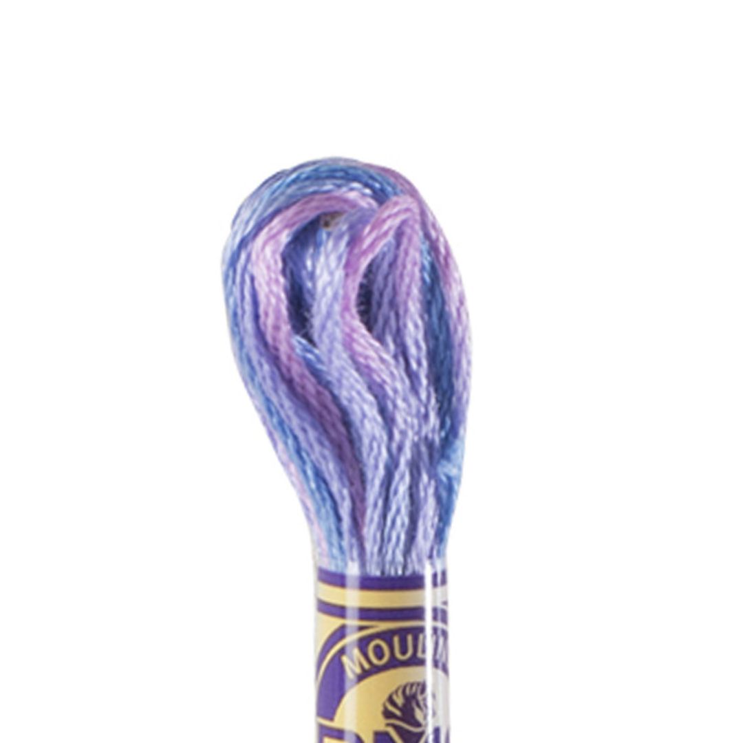 DMC Mouliné Variations Embroidery Thread (4215)