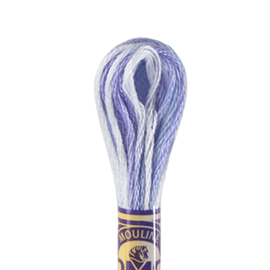 DMC Mouliné Variations Embroidery Thread (4220)