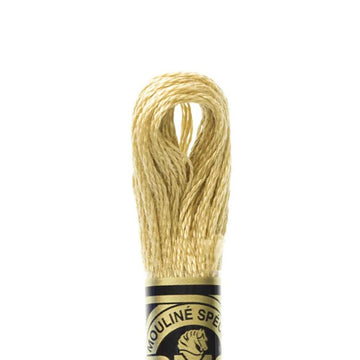 DMC Stranded Cotton Mouliné Spécial Embroidery Thread (422)