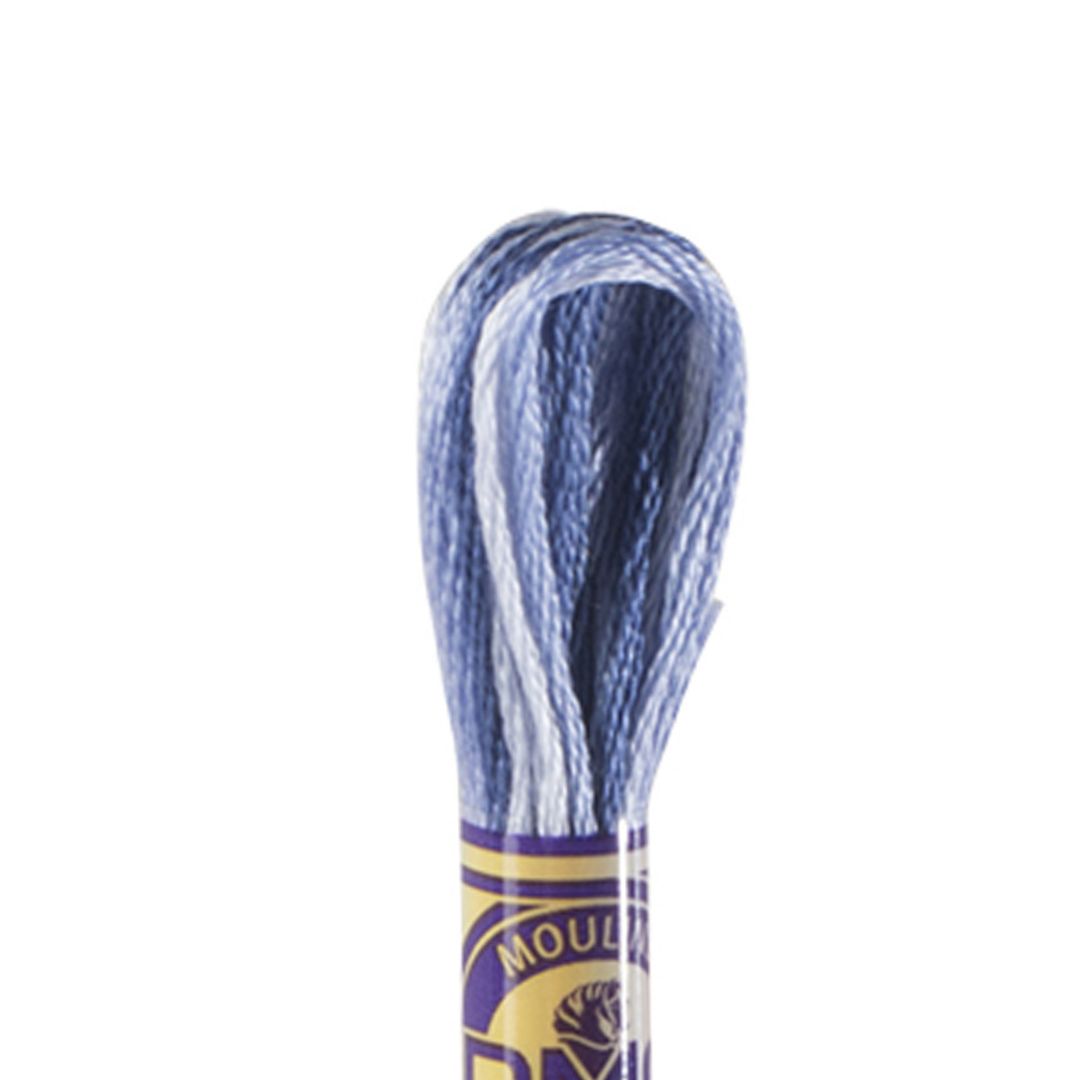 DMC Mouliné Variations Embroidery Thread (4235)