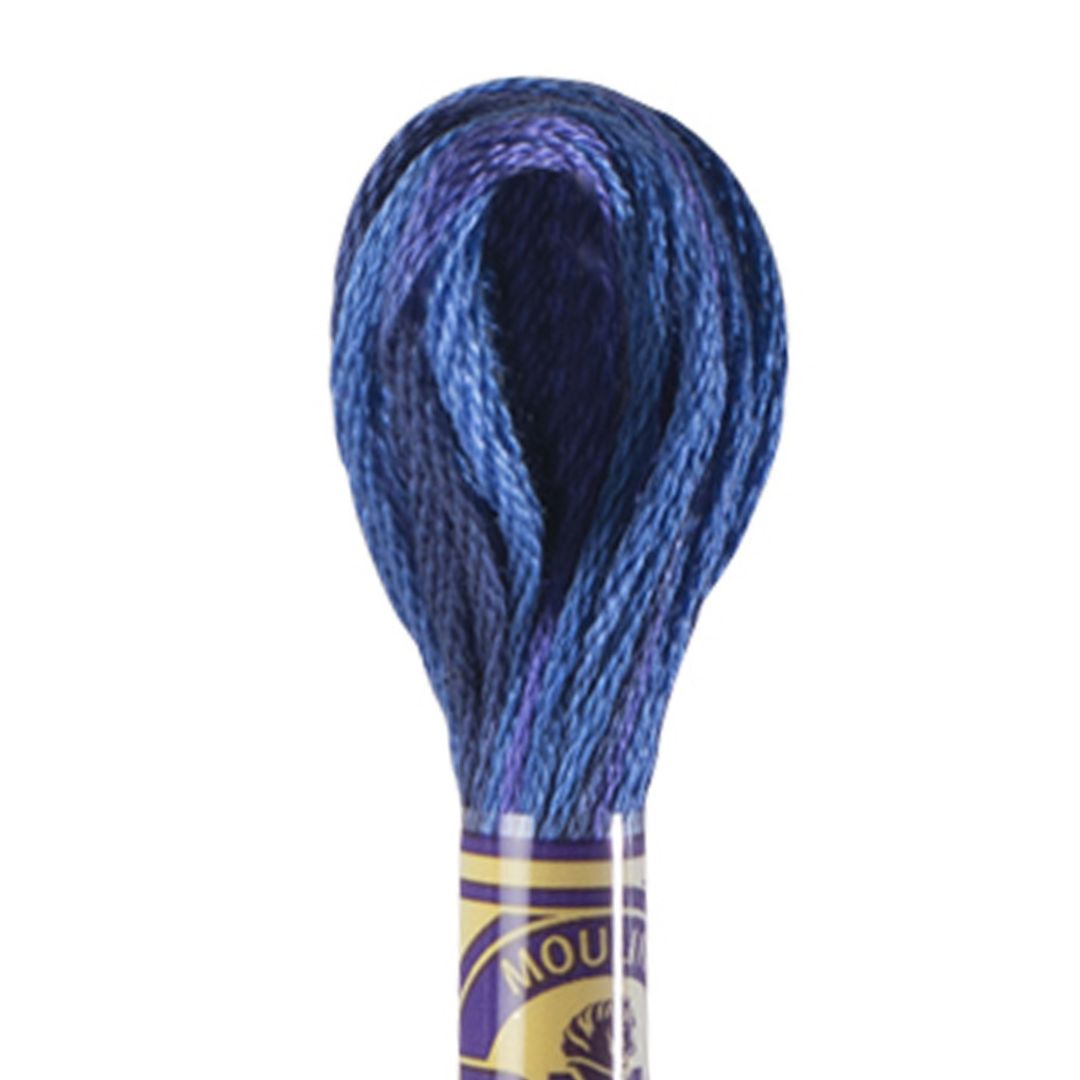 DMC Mouliné Variations Embroidery Thread (4240)