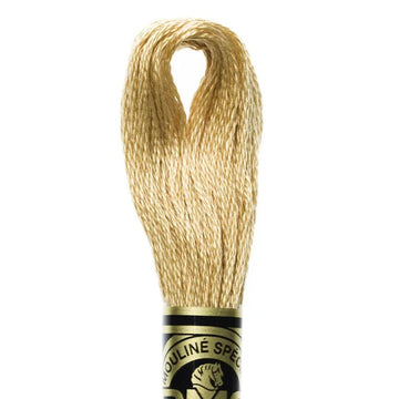 DMC Stranded Cotton Mouliné Spécial Embroidery Thread (437)