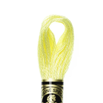 DMC Stranded Cotton Mouliné Spécial Embroidery Thread (445)