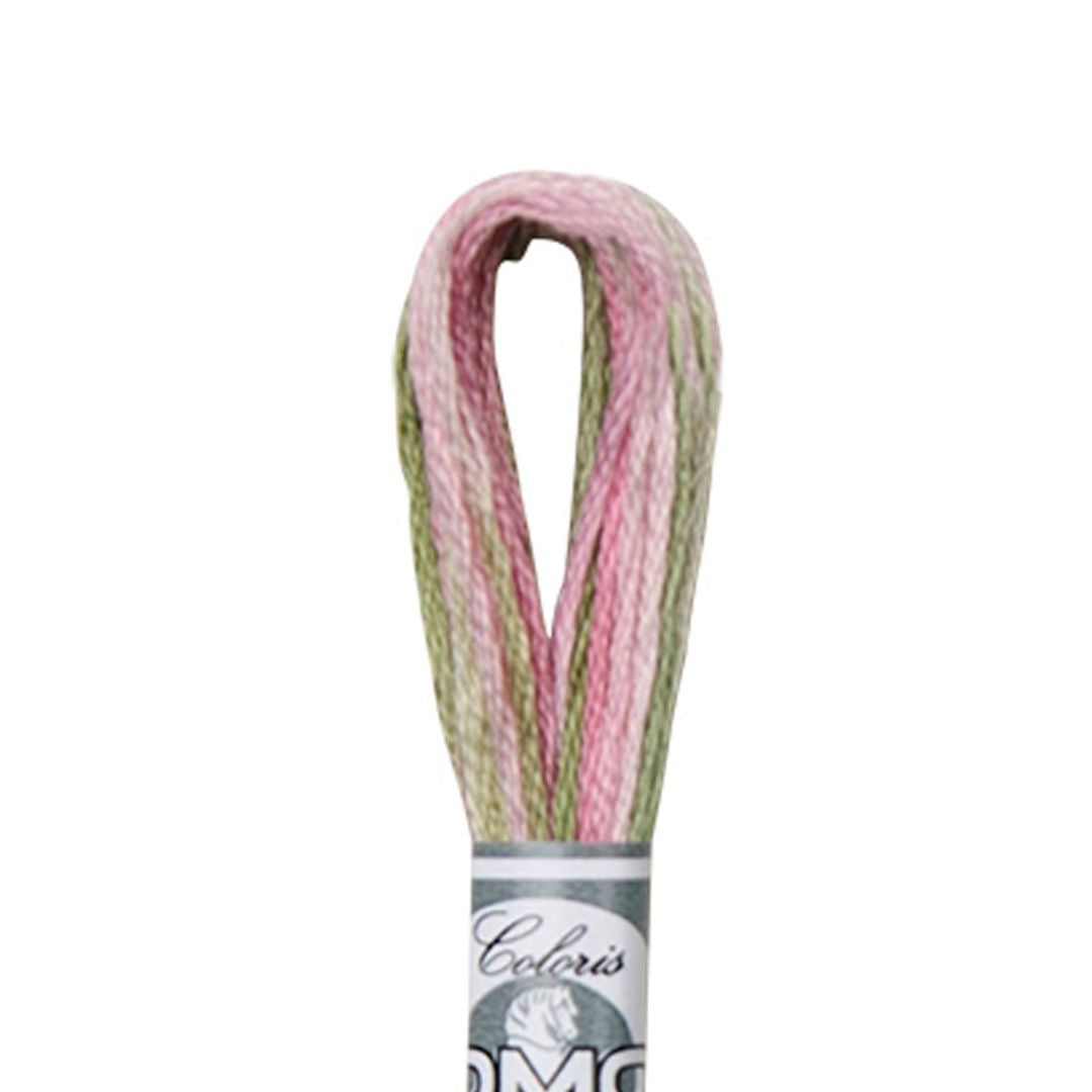 DMC Mouliné Coloris Embroidery Thread (4500)