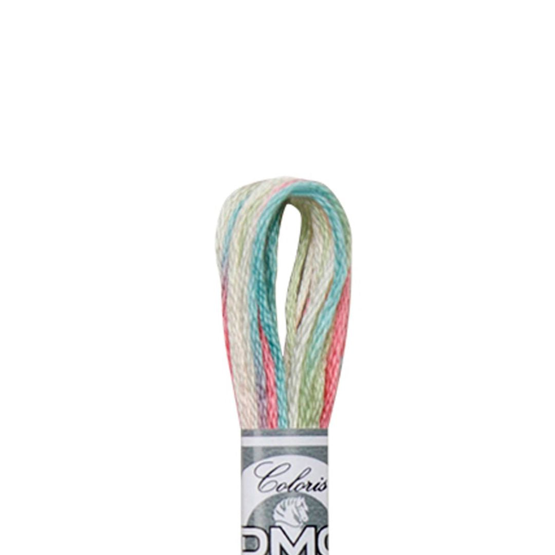 DMC Mouliné Coloris Embroidery Thread (4501)