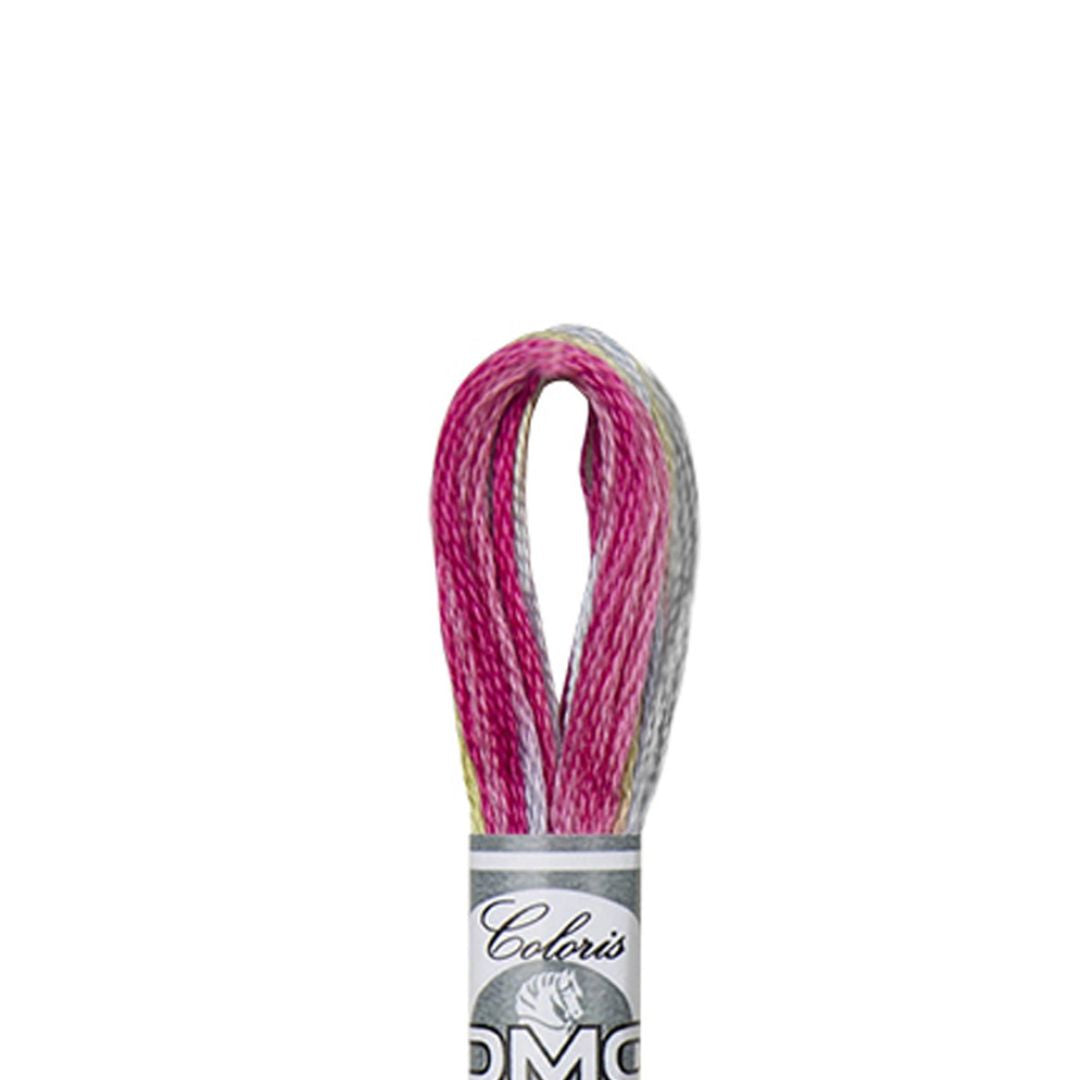 DMC Mouliné Coloris Embroidery Thread (4502)