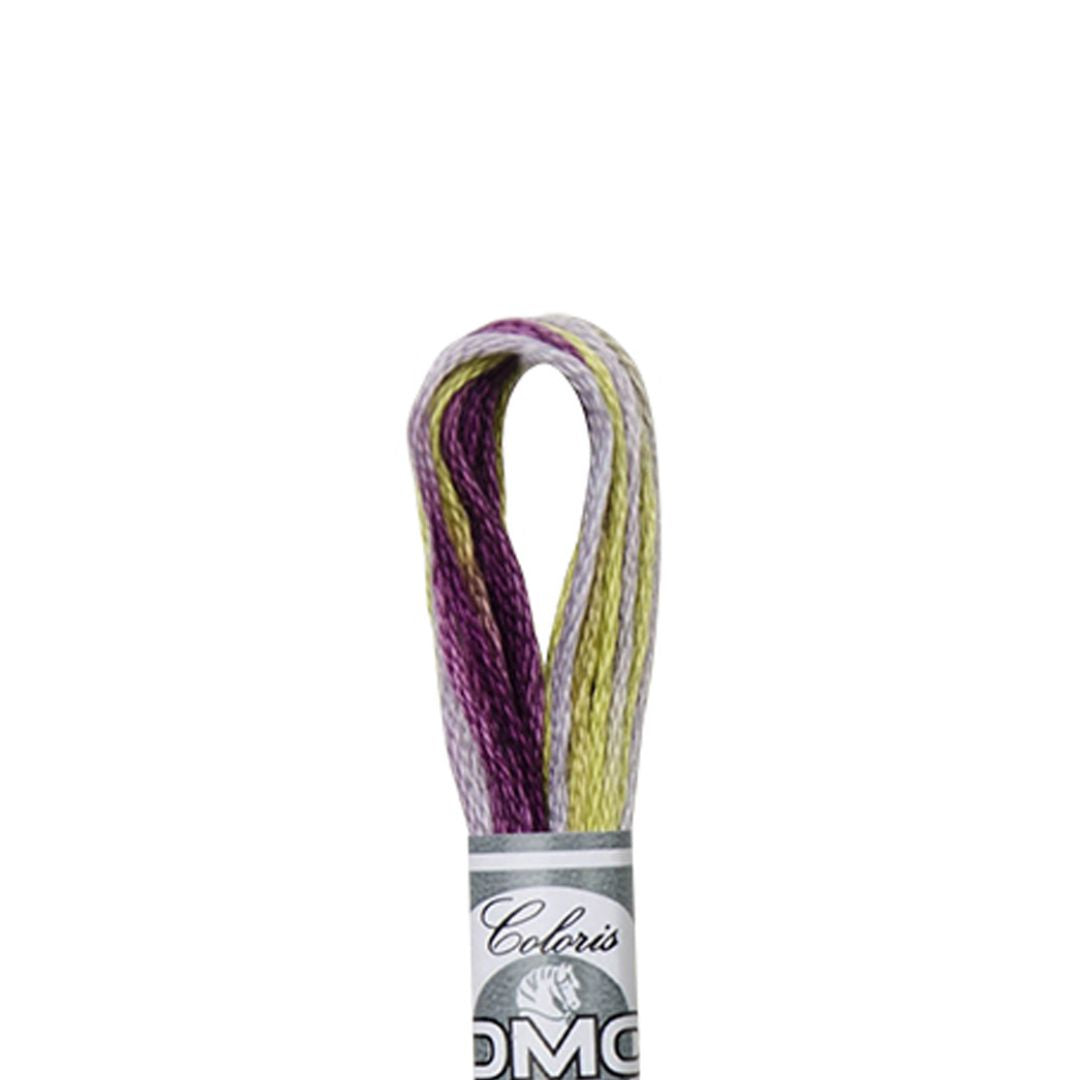 DMC Mouliné Coloris Embroidery Thread (4503)