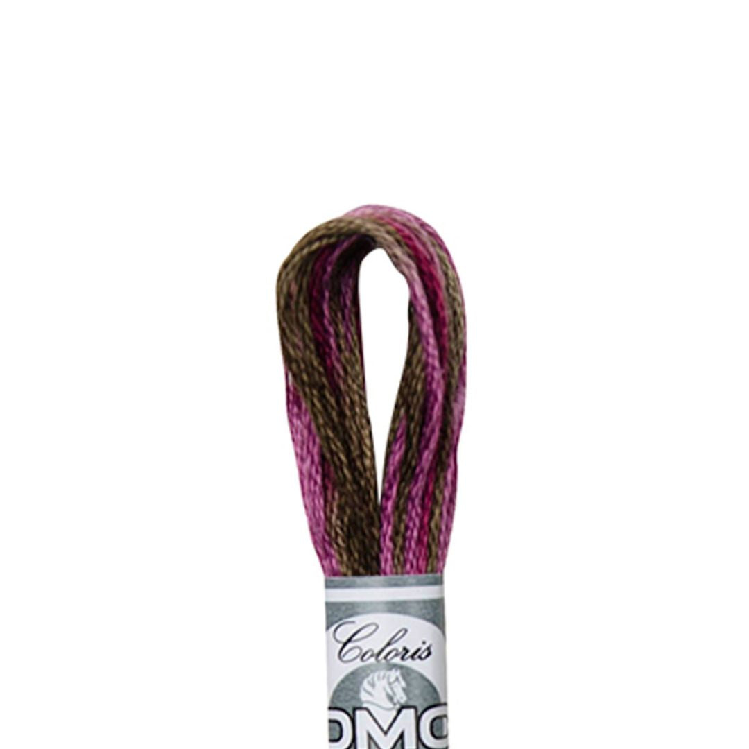 DMC Mouliné Coloris Embroidery Thread (4504)