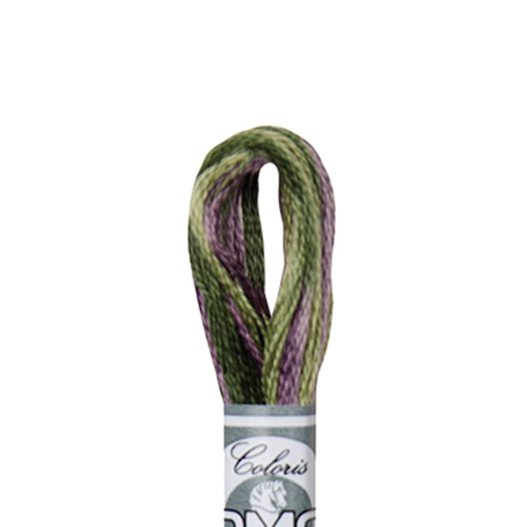 DMC Mouliné Coloris Embroidery Thread (4505)