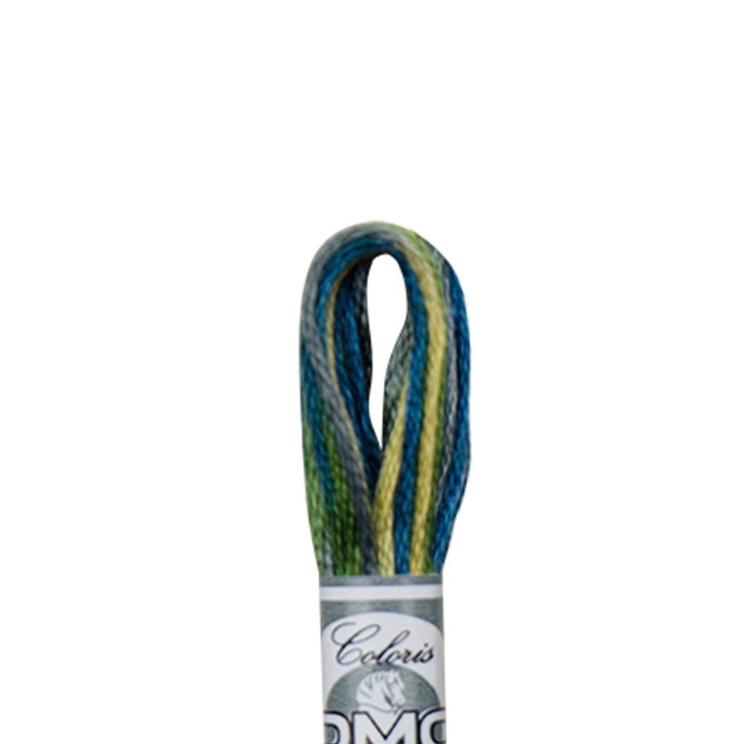 DMC Mouliné Coloris Embroidery Thread (4506)