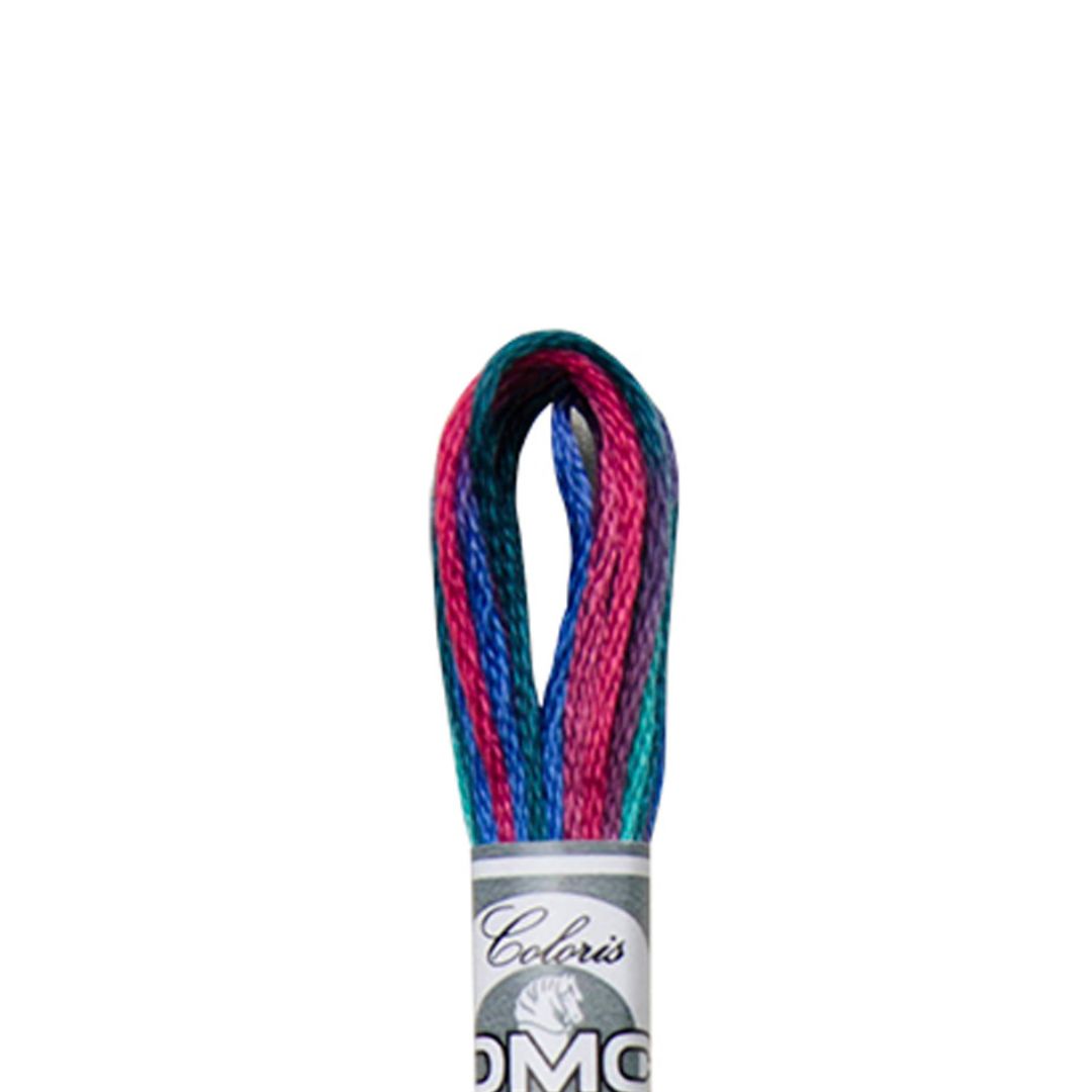 DMC Mouliné Coloris Embroidery Thread (4507)