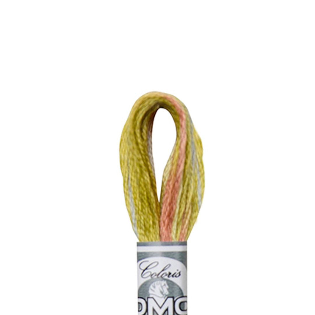 DMC Mouliné Coloris Embroidery Thread (4508)