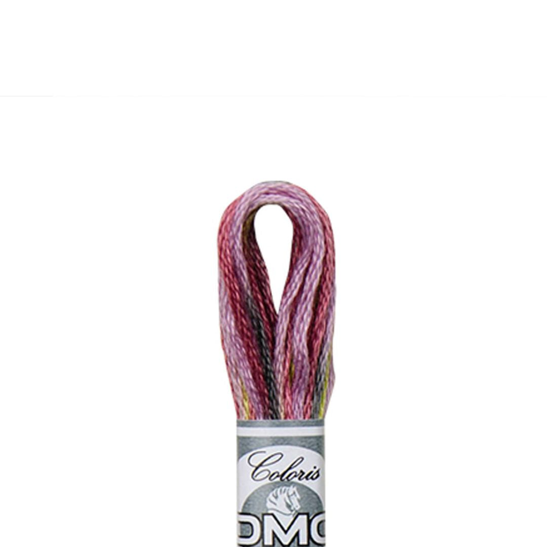 DMC Mouliné Coloris Embroidery Thread (4509)