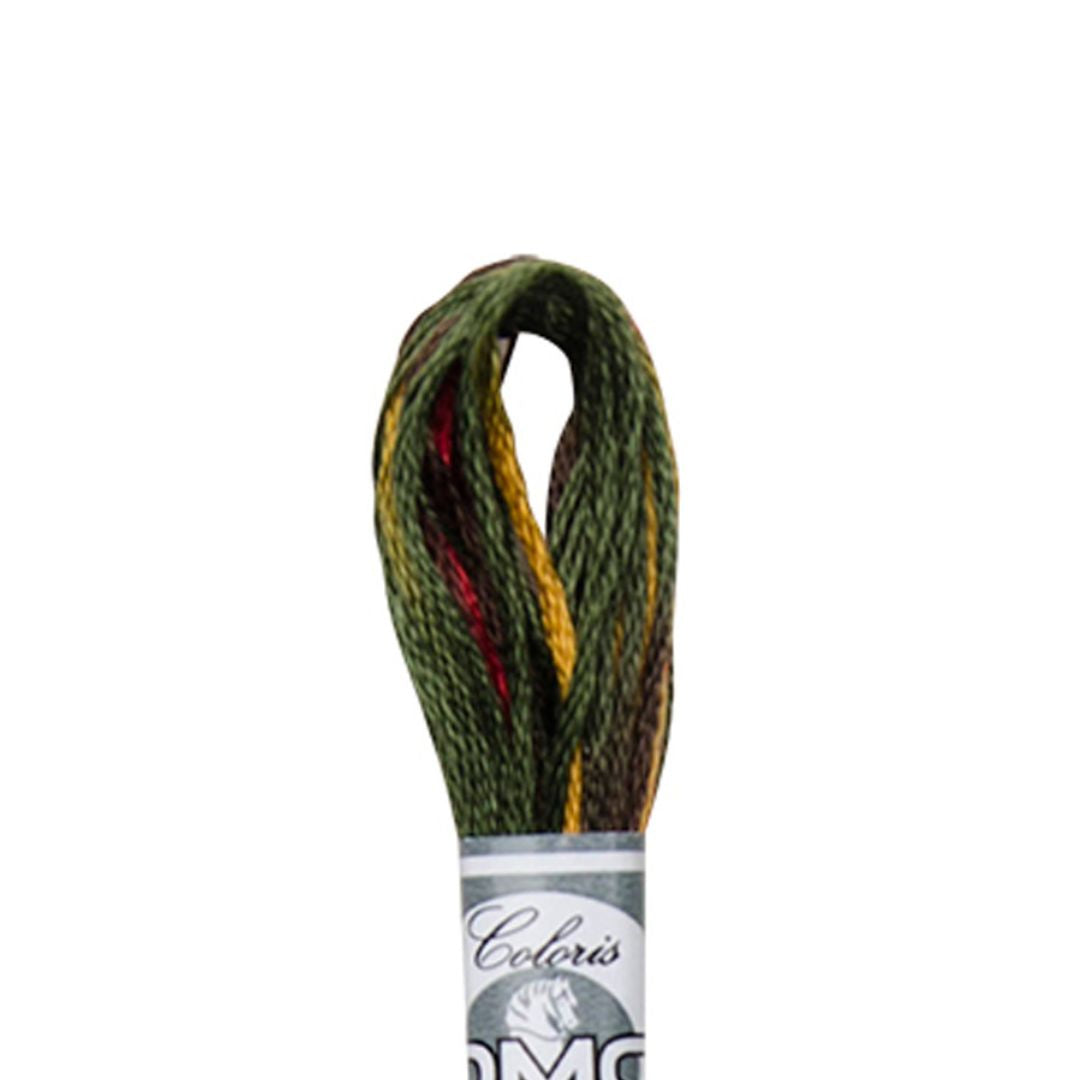 DMC Mouliné Coloris Embroidery Thread (4511)
