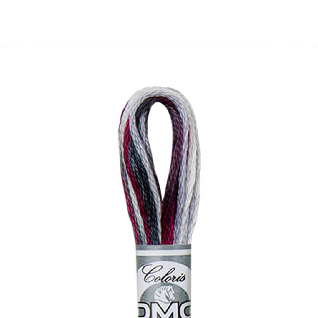 DMC Mouliné Coloris Embroidery Thread (4513)