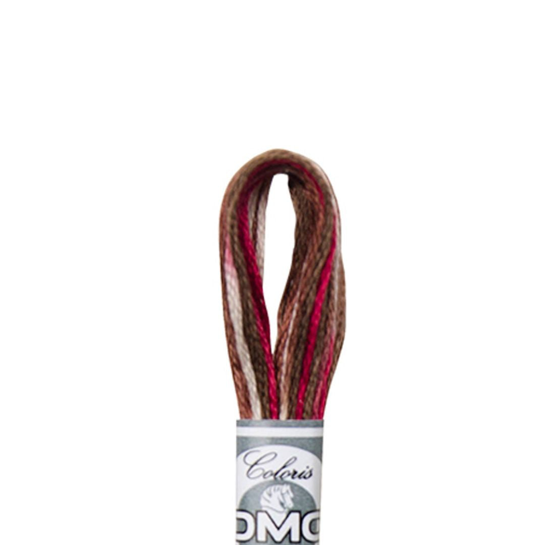 DMC Mouliné Coloris Embroidery Thread (4516)