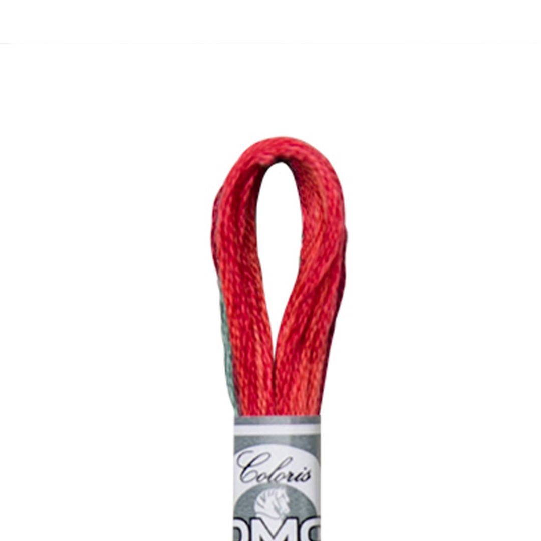 DMC Mouliné Coloris Embroidery Thread (4517)
