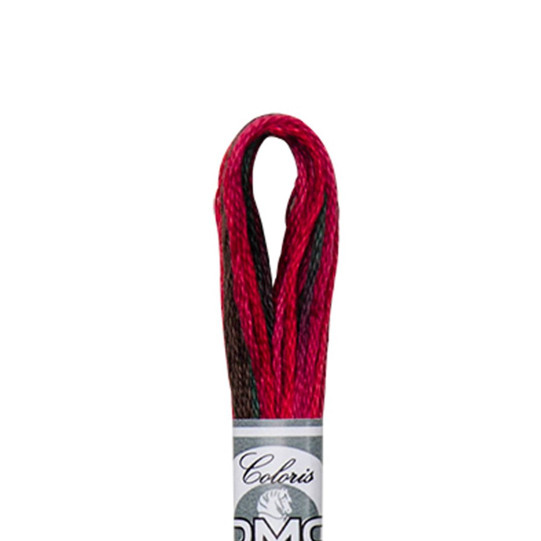 DMC Mouliné Coloris Embroidery Thread (4519)