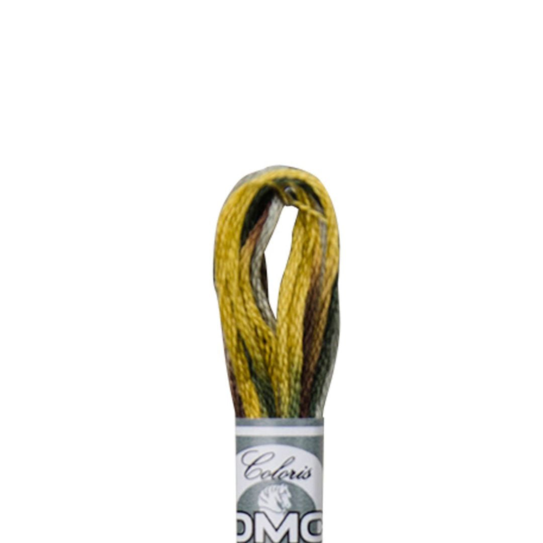 DMC Mouliné Coloris Embroidery Thread (4521)