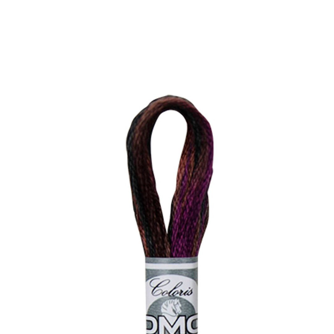 DMC Mouliné Coloris Embroidery Thread (4522)