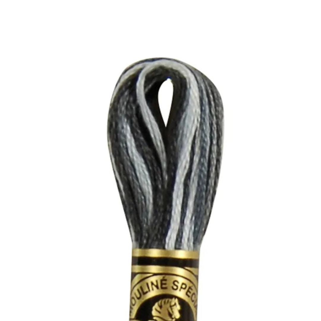DMC Stranded Cotton Mouliné Spécial Embroidery Thread (53)