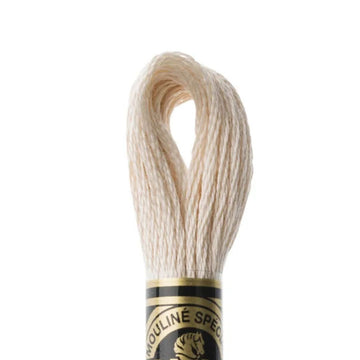 DMC Stranded Cotton Mouliné Spécial Embroidery Thread (543)