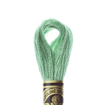 DMC Stranded Cotton Mouliné Spécial Embroidery Thread (563)