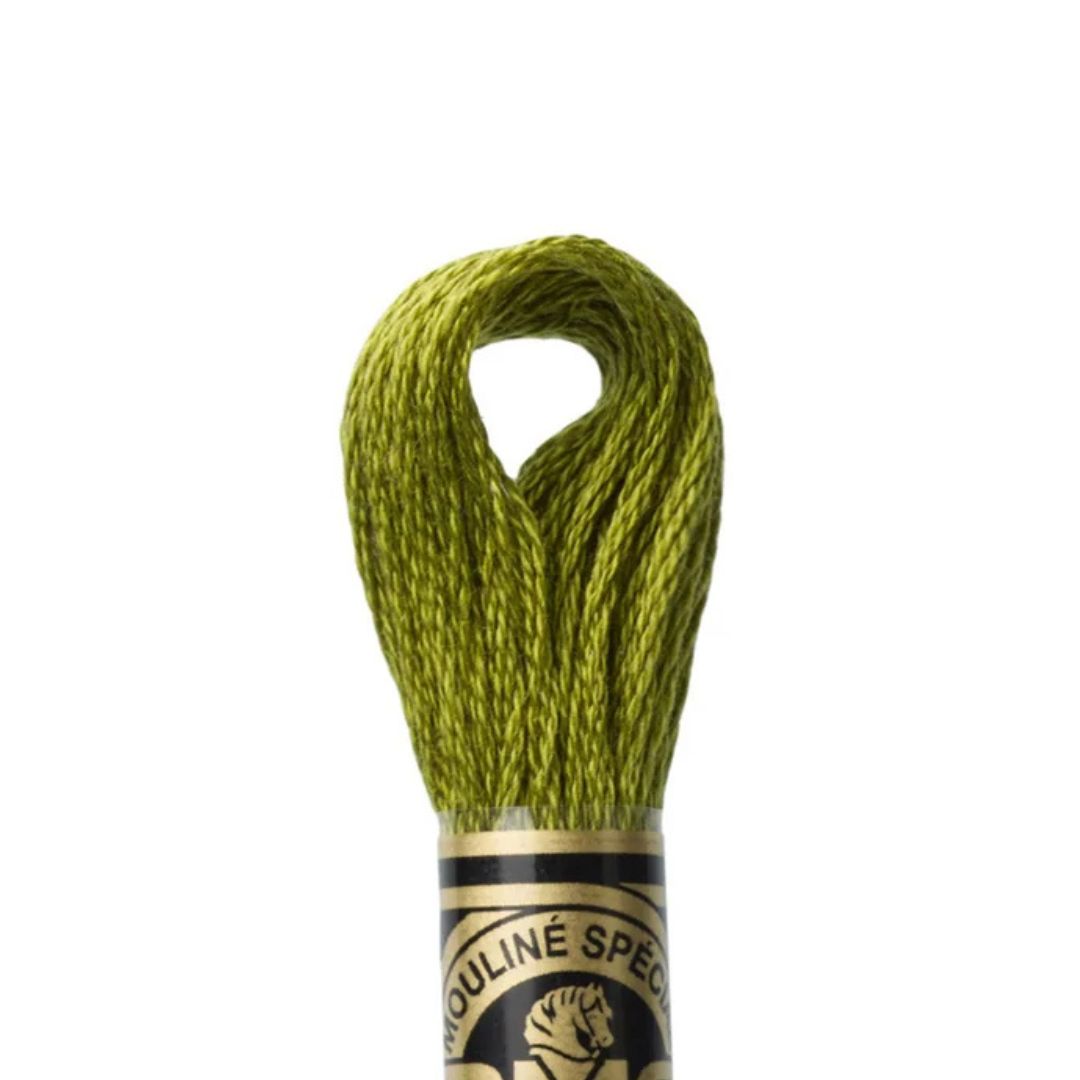 DMC Stranded Cotton Mouliné Spécial Embroidery Thread (580)