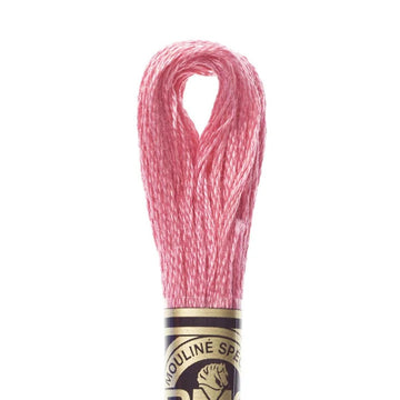 DMC Stranded Cotton Mouliné Spécial Embroidery Thread (602)