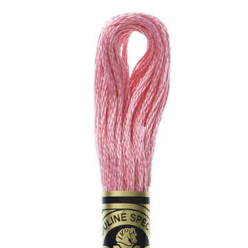 DMC Stranded Cotton Mouliné Spécial Embroidery Thread (603)