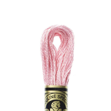 DMC Stranded Cotton Mouliné Spécial Embroidery Thread (604)