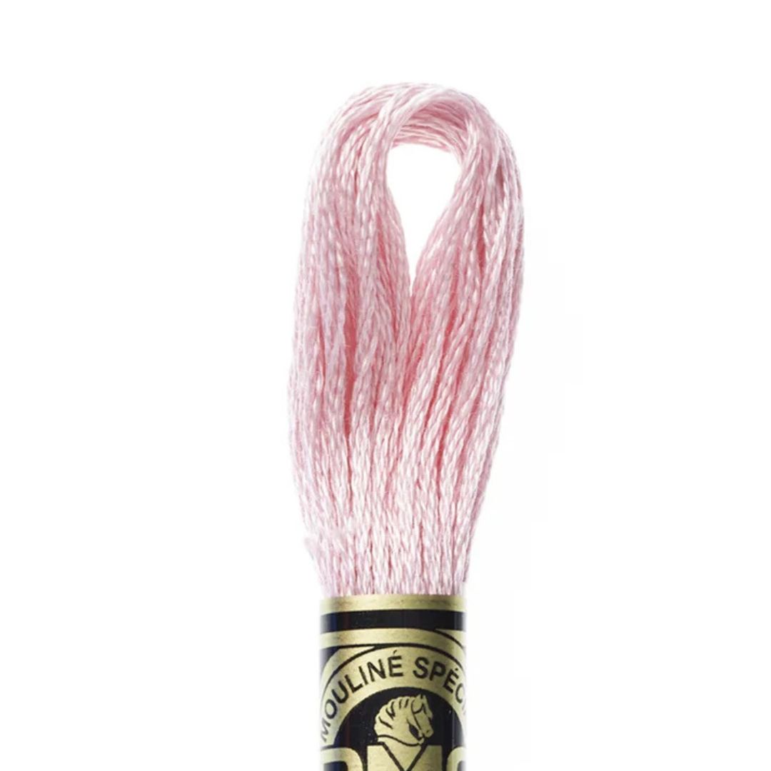 DMC Stranded Cotton Mouliné Spécial Embroidery Thread (605)