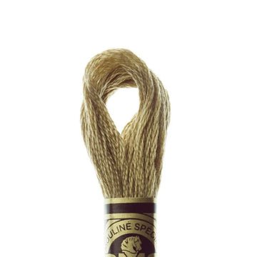 DMC Stranded Cotton Mouliné Spécial Embroidery Thread (612)